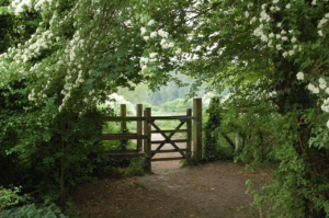Counselling services image of forest gateway