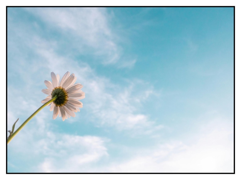 low confidence counselling daisy of hope