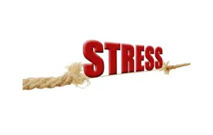 overstretched rope stress counselling in Newton Abbot